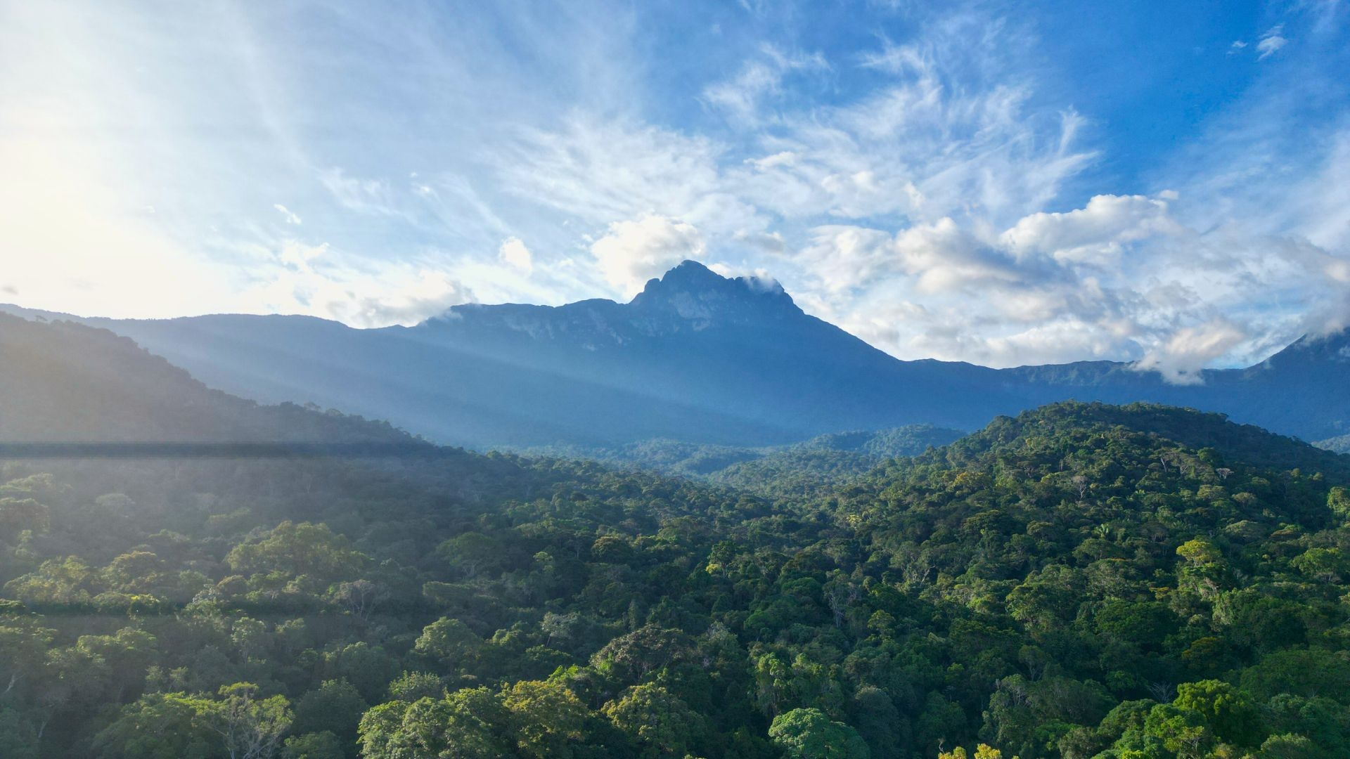 Pico da  - Neblina